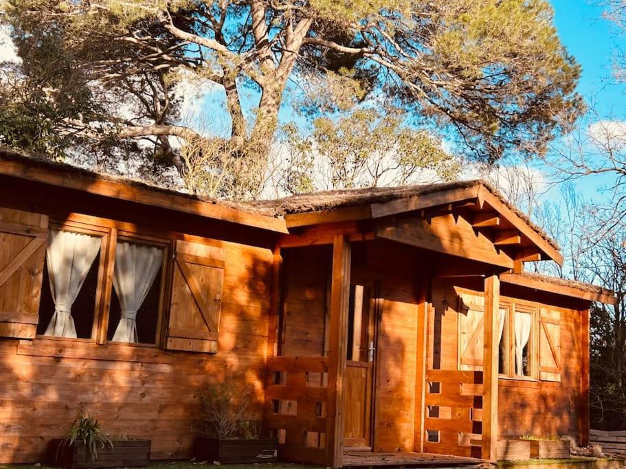 Chalet Bois Jacuzzi Bessan Exterior photo